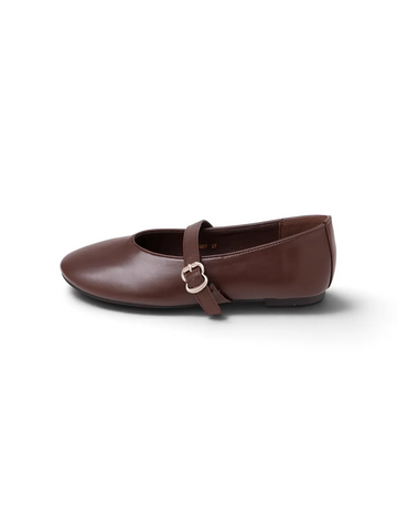 CBL-160 Brown